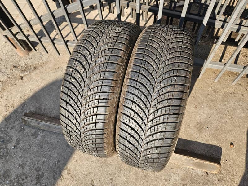 Goodyear 195/60 R15 Sve sezone