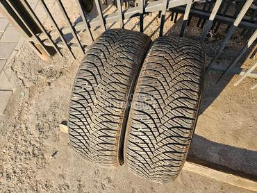 Goodyear 205/55 R16 Sve sezone