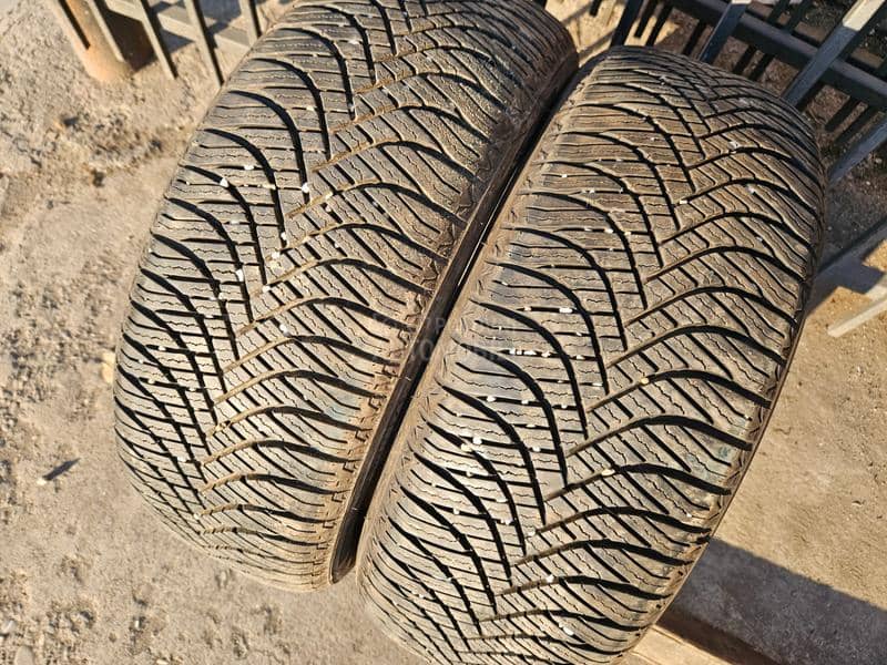 Goodyear 205/55 R16 Sve sezone