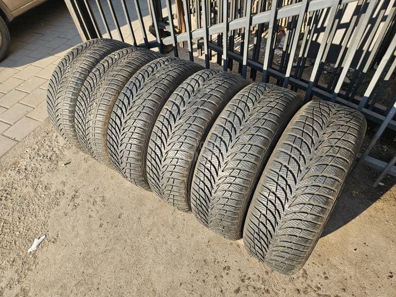 Goodyear 205/55 R16 Sve sezone