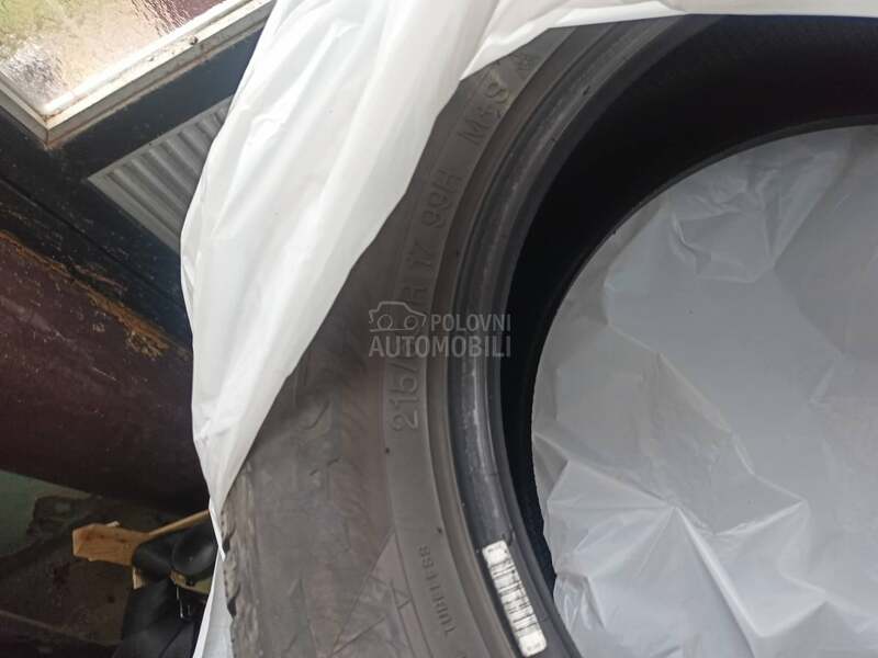 Apollo 215/65 R17 Zimska