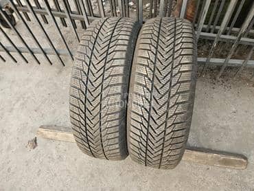 Esa Tecar 195/65 R15 Sve sezone