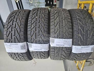 Riken 195/55 R16 Zimska