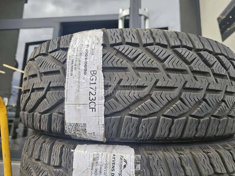 Riken 195/55 R16 Zimska