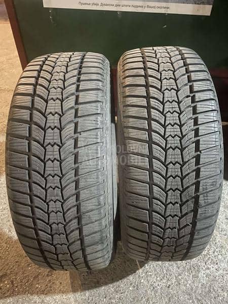 Sava 205/55 R16 Zimska