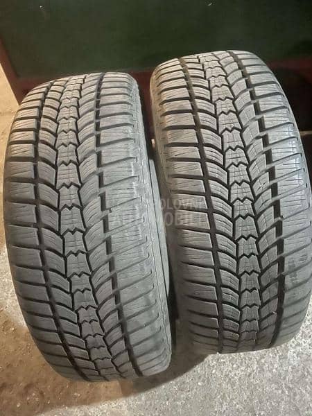 Sava 205/55 R16 Zimska