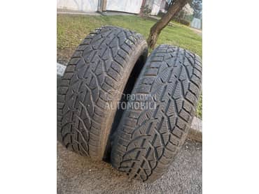 Riken 205/55 R16 Zimska