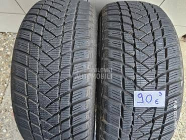 GT Radial 205/55 R16 Zimska