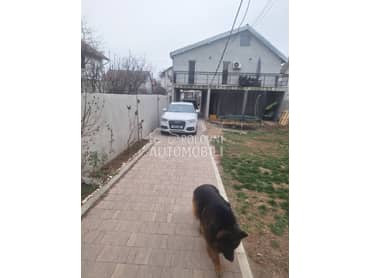 STAKLO PREDNJA DESNA VRATA za Audi Q3