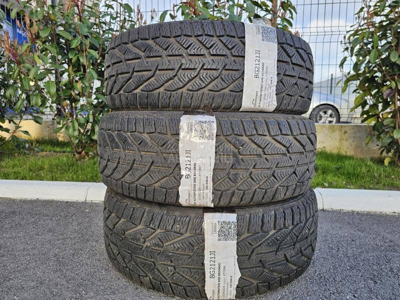 Riken 195/55 R16 Zimska