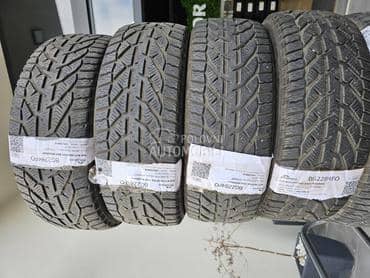 Riken 195/55 R16 Zimska
