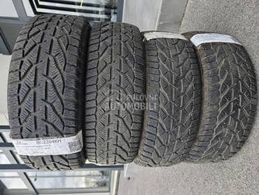Riken 195/55 R16 Zimska