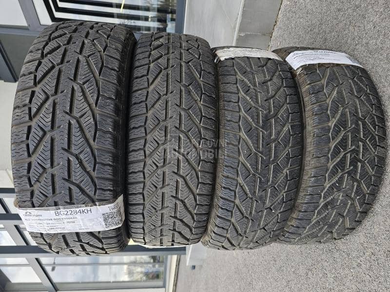 Riken 195/55 R16 Zimska