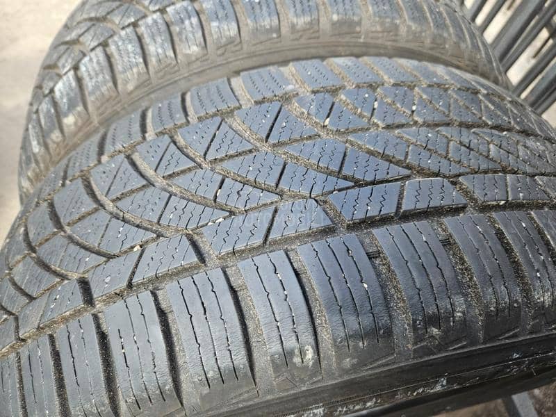 Altenzo 225/50 R17 Sve sezone