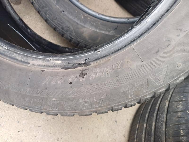 Riken 215/55 R16 Sve sezone