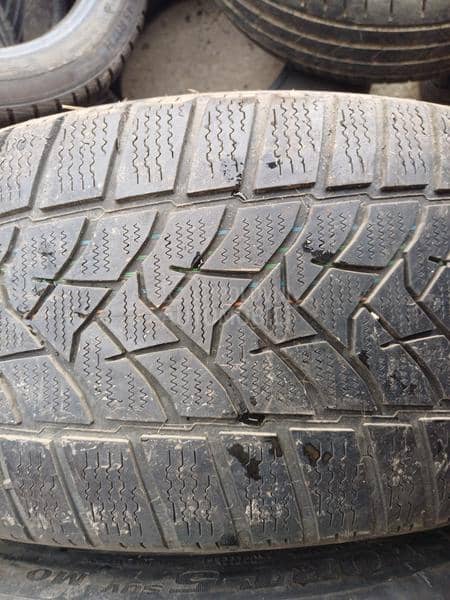 Dunlop 255/45 R20 Zimska