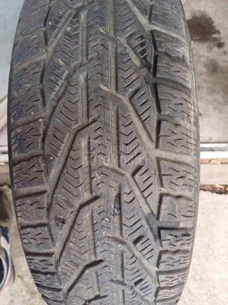 Riken 195/65 R15 Zimska