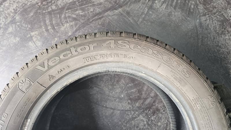 Goodyear 205/55 R16 Zimska