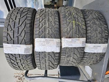 Riken 195/55 R16 Zimska