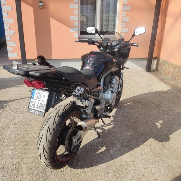 Yamaha FZS 1000 fazer