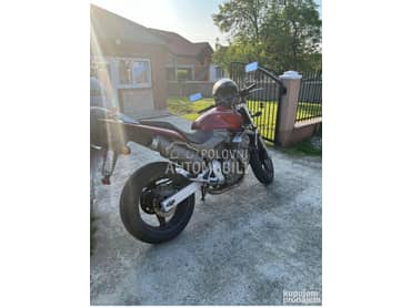Honda Hornet 600
