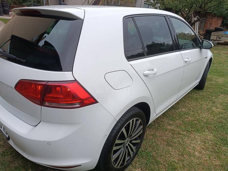 Volkswagen Golf 7  Volkswagen Golf 7