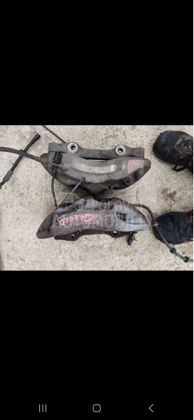 kociona kljesta celjust sapa