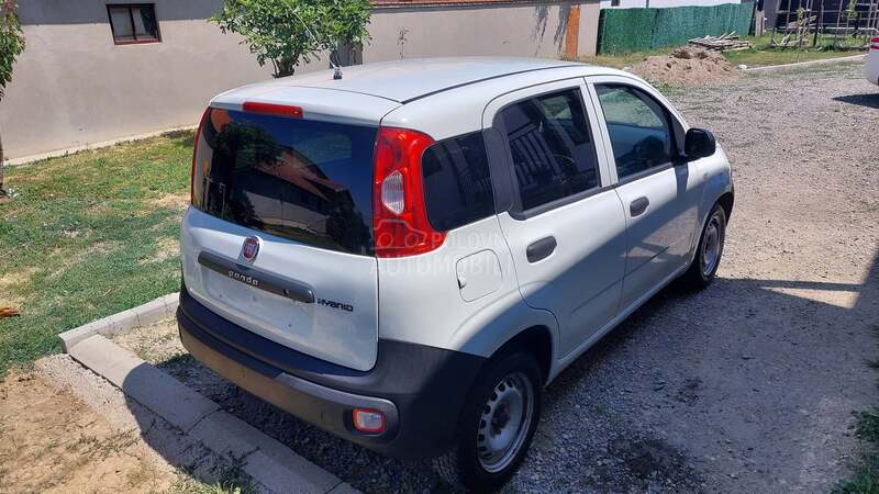 Fiat Panda 1.0 hybrid pop