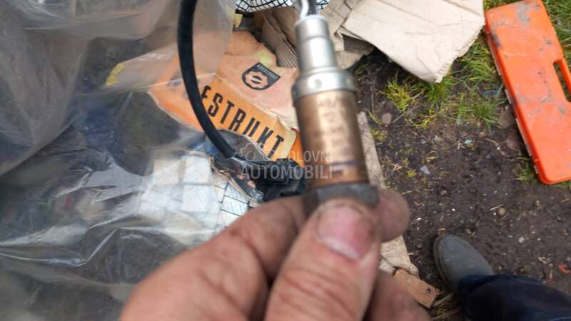 sina bran, kut ven.sonda,abs