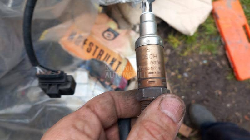 sina bran, kut ven.sonda,abs