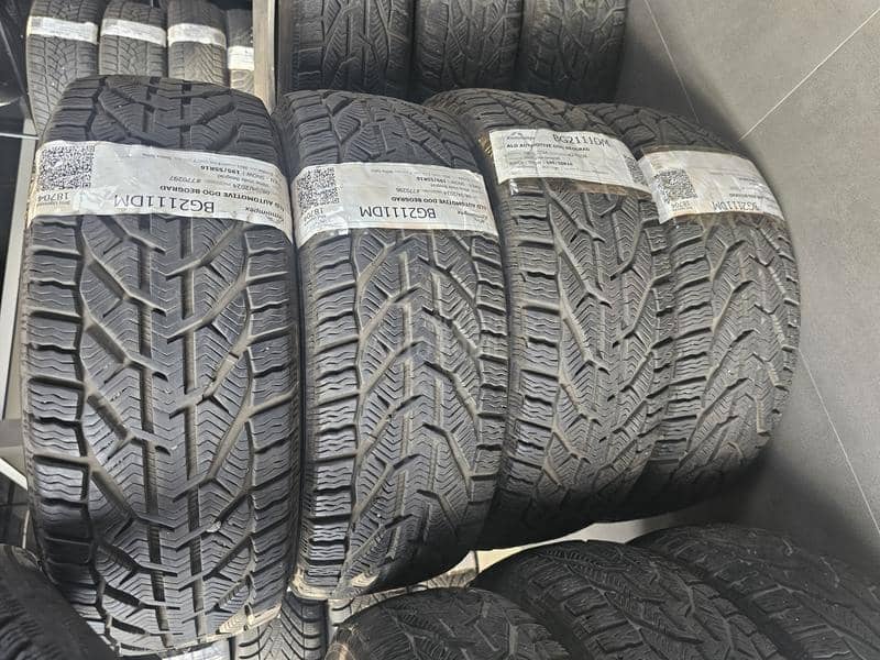 Riken 195/55 R16 Zimska