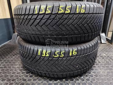 Rotalla 195/55 R16 Zimska