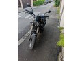 Benelli Leoncino 500 Trail