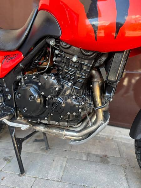 Triumph TIGER 955i