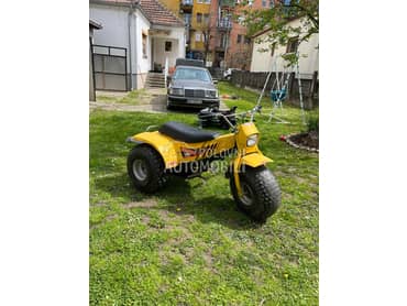 Yamaha TriMoto 125