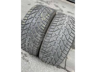 Riken 225/40 R18 Zimska