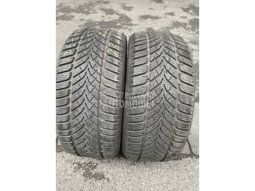 Riken 225/40 R18 Zimska