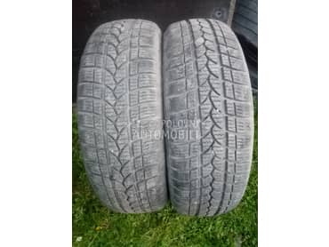 Tigar 185/65 R15 Zimska