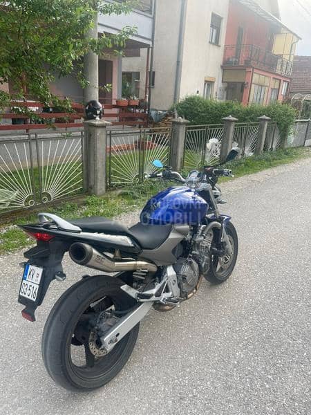 Honda hornet