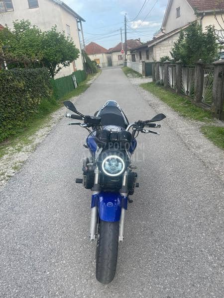 Honda hornet