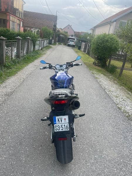 Honda hornet