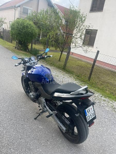Honda hornet