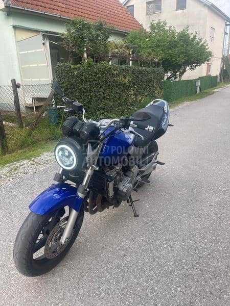 Honda hornet
