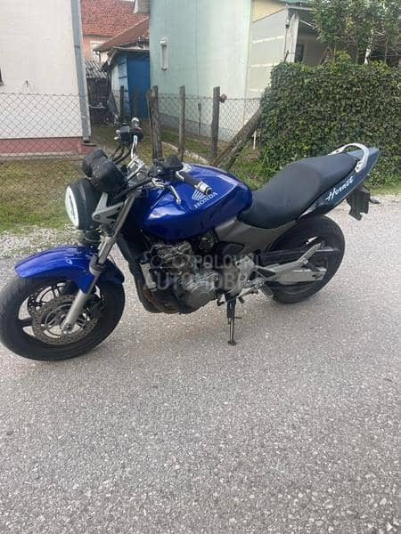 Honda hornet