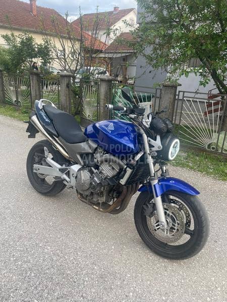 Honda hornet