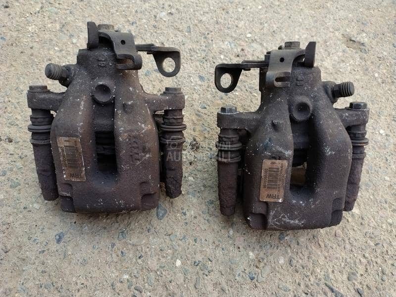 Kociona klesta zadnja