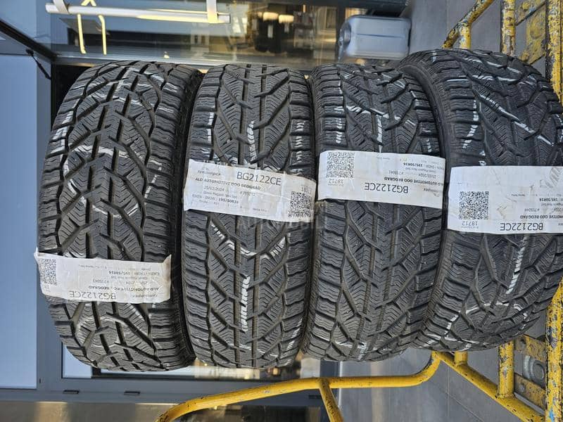 Riken 195/55 R16 Zimska