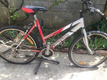 Capriolo Passat 260 19 Crveni