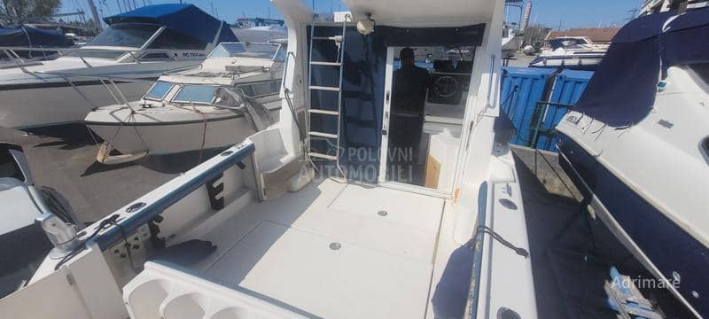 Riva Rio 800 Fish