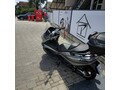 Piaggio X10 350 Čitaj opis